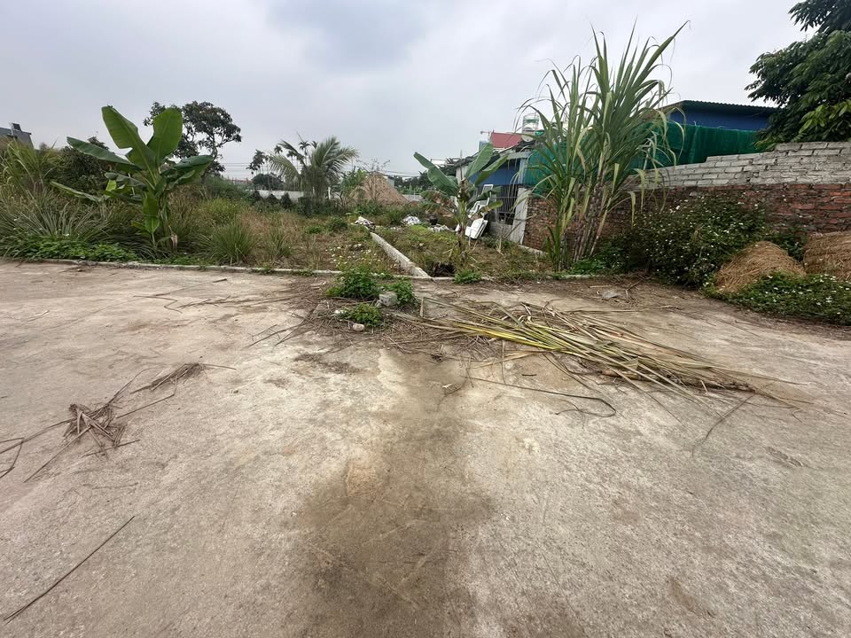 Đất nền Quốc Tuấn, An Lão 70,6m² giá chỉ 700 triệu - Cơ hội đầu tư vàng!