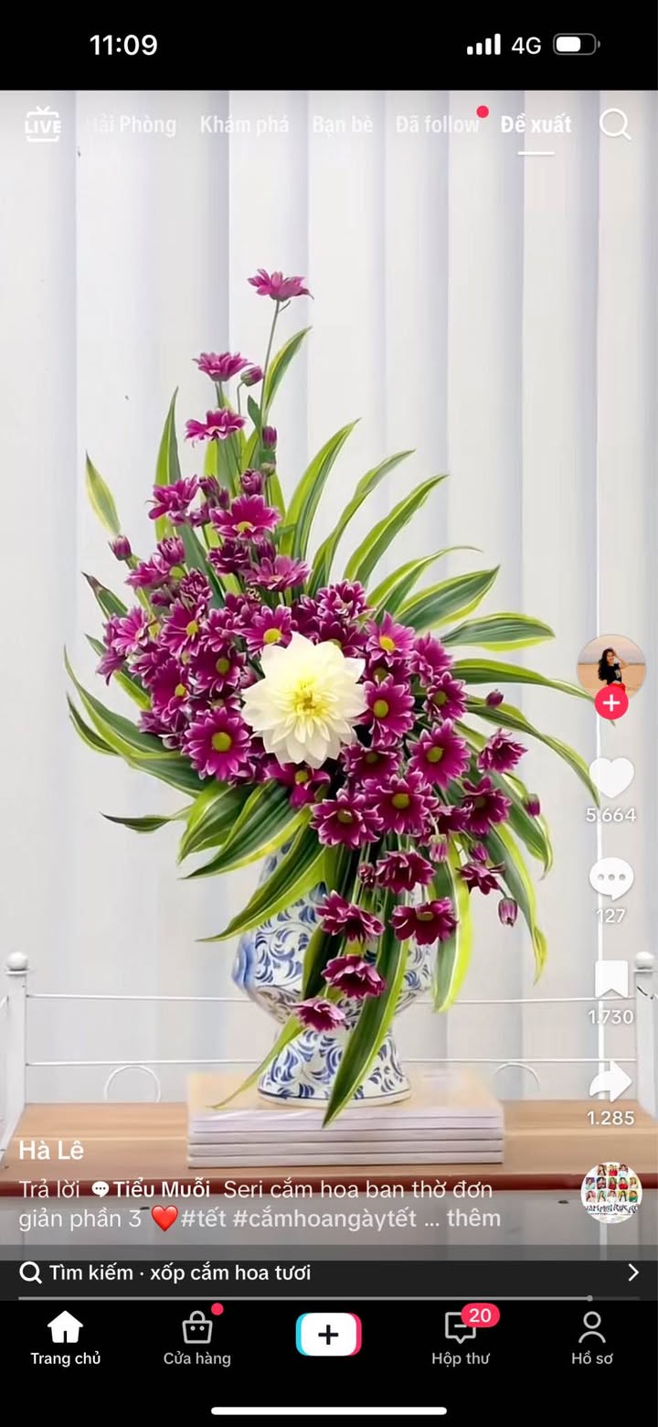 Đất phân lô Cung Trầm, Hải Phòng 100m² giá 5.5 tỷ - Vị trí đẹp, thuận tiện!