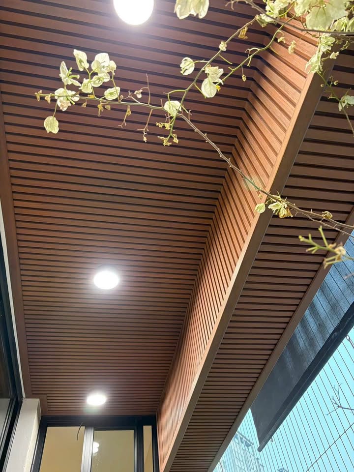 Đất nền 50.000m² xã Long Sơn, Vũng Tàu giá 120 tỷ - Tiềm năng phát triển lớn!