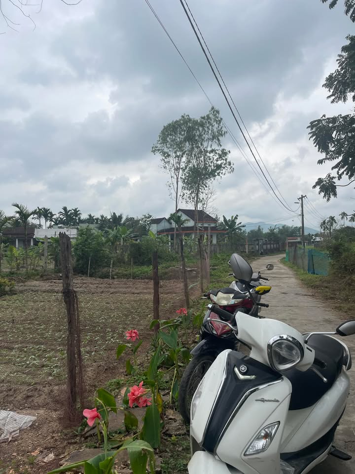 Đất nhà vườn 450m² tại thị trấn Phú Thịnh giá chỉ 800 triệu - Cơ hội đầu tư tuyệt vời!