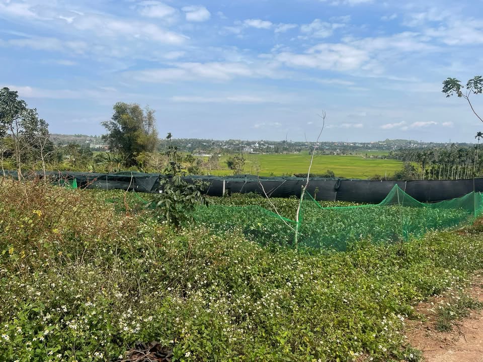 Đất thổ cư Buôn Komleo, Đăk Lăk 400m² giá chỉ 4.5 tỷ - Cơ hội đầu tư tuyệt vời!