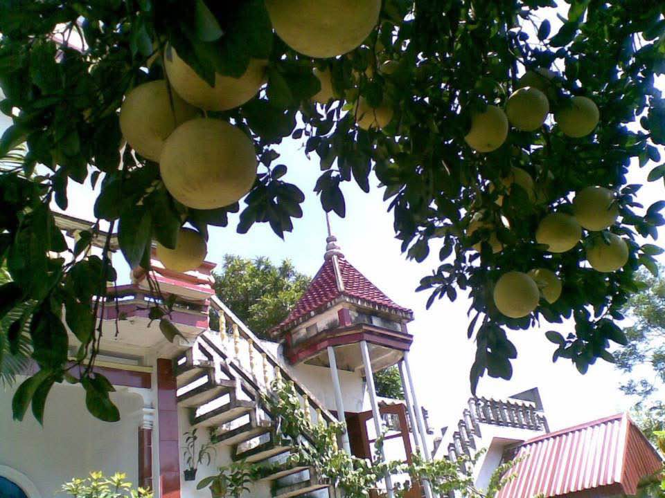 Nhà riêng Phú Khánh Thái Bình 50m² giá 3 tỷ - Sẵn sàng vào ở ngay!