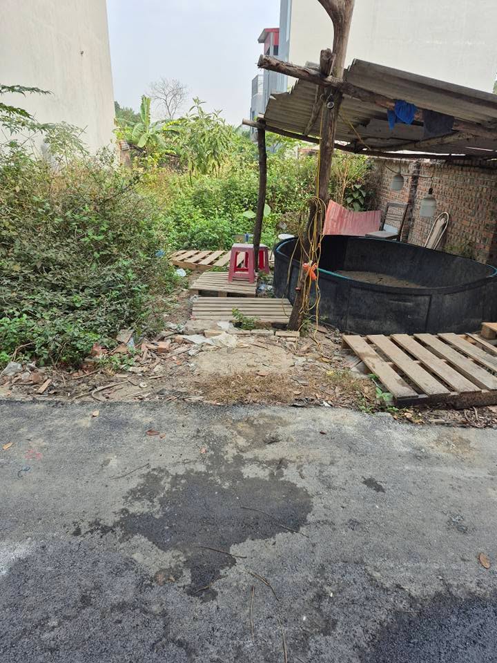 Lô Đất Thổ Cư Đường Ô Tô Phường Võ Cường 86m² giá 3 tỷ - Sổ Hồng Mới Cấp 2025!