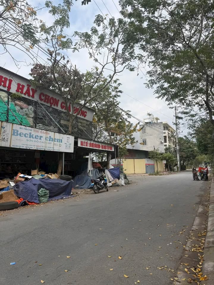 Đất nền Phường Đồng Kỵ - Từ Sơn 128m² giá 6.144 tỷ - Hướng tài lộc, sổ đỏ chính chủ!