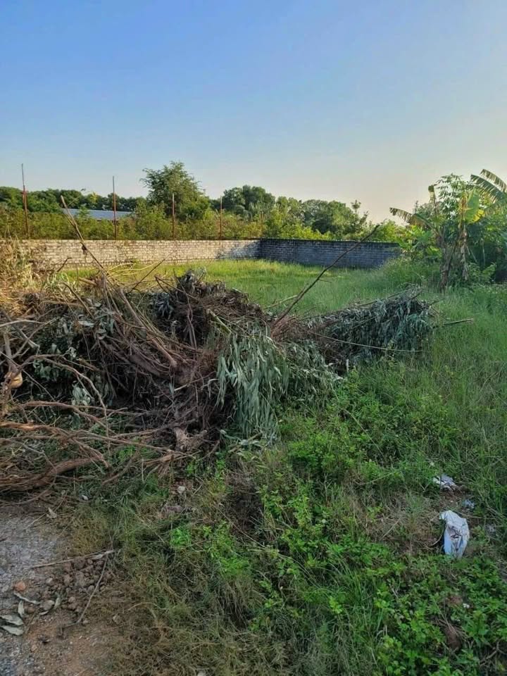 Đất nền khu phố Đông Mát, phường Tân An, 324m² - Tiềm năng sinh lời cao!