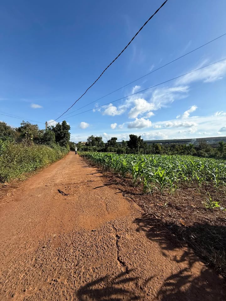 Đất nền xã Tam Giang, huyện Krông Năng, 200m² giá chỉ 360 triệu - Cơ hội đầu tư tuyệt vời!