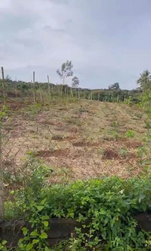 Đất thổ cư Phú Lộc, Krông Năng 60m² giá chỉ từ 400 triệu - Cơ hội an cư lý tưởng!