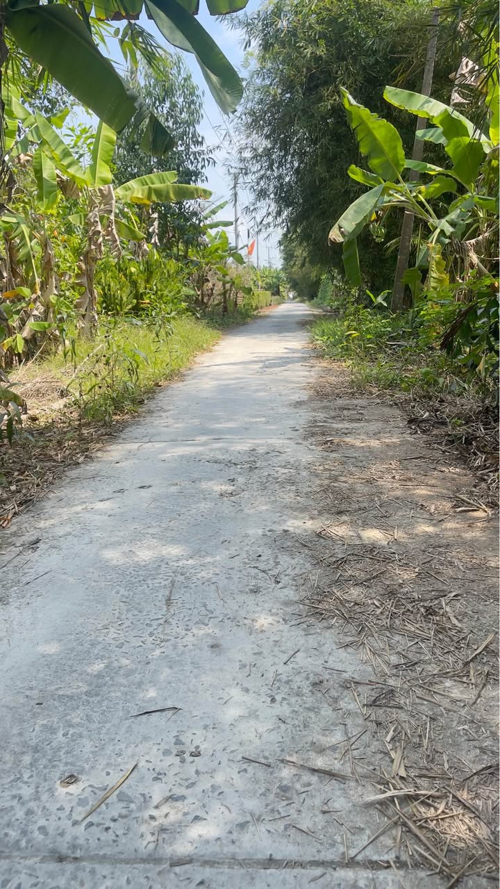 Đất nền mặt tiền Đường Dal, Xã Hưng Phú, 210m² giá 150 triệu - Đầu tư sinh lời!