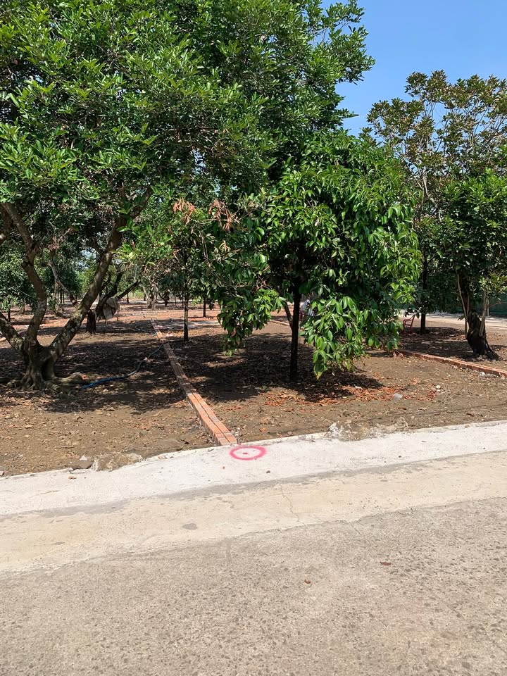 Đất nền phường Bảo Vinh, Long Khánh - Diện tích 150m², giá chỉ 779 triệu - Cơ hội đầu tư tuyệt vời!