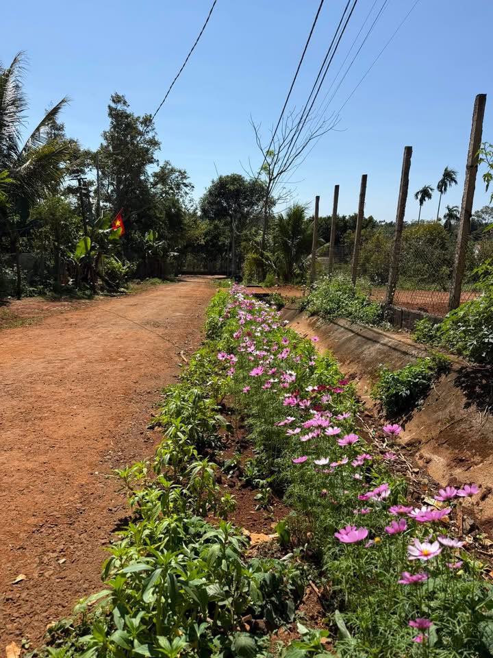 Bán gấp FrontHouse mặt tiền Lê Đại Hành, Buôn Hồ 175m² chỉ 1.39 tỷ - Cơ hội đầu tư tuyệt vời!