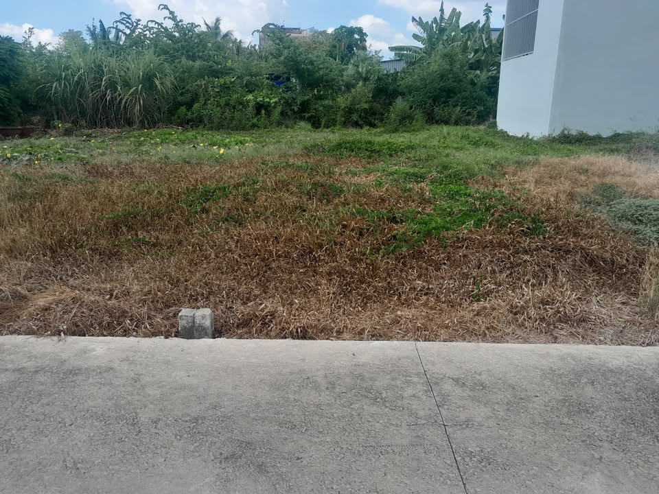 Đất nền phường 5 Gò Công 98,7m² giá 840 triệu - Cơ hội đầu tư hấp dẫn!