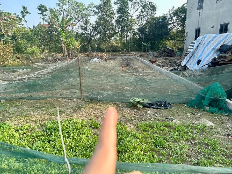 Đất Nghi Kim 140m² giá 3.8 tỷ - Cơ hội đầu tư sinh lời!