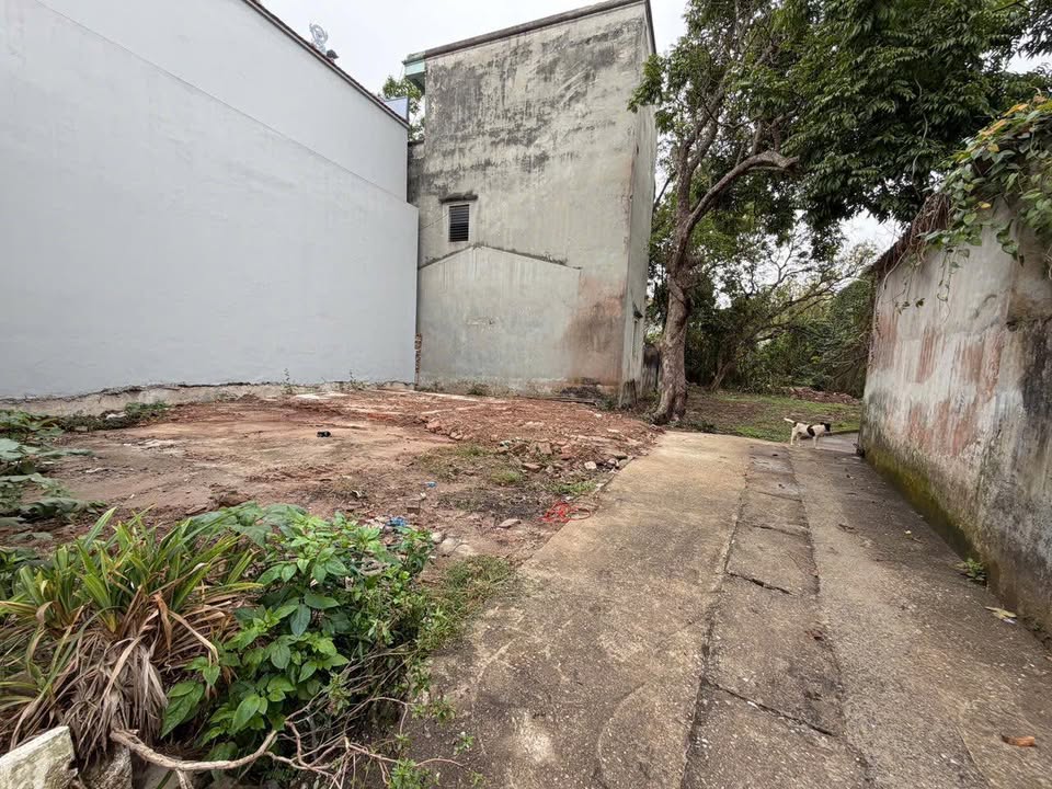 Đất Nền Ninh Xá 101.6m² giá 6.5 tỷ - Mặt tiền rộng, đầu tư sinh lời!