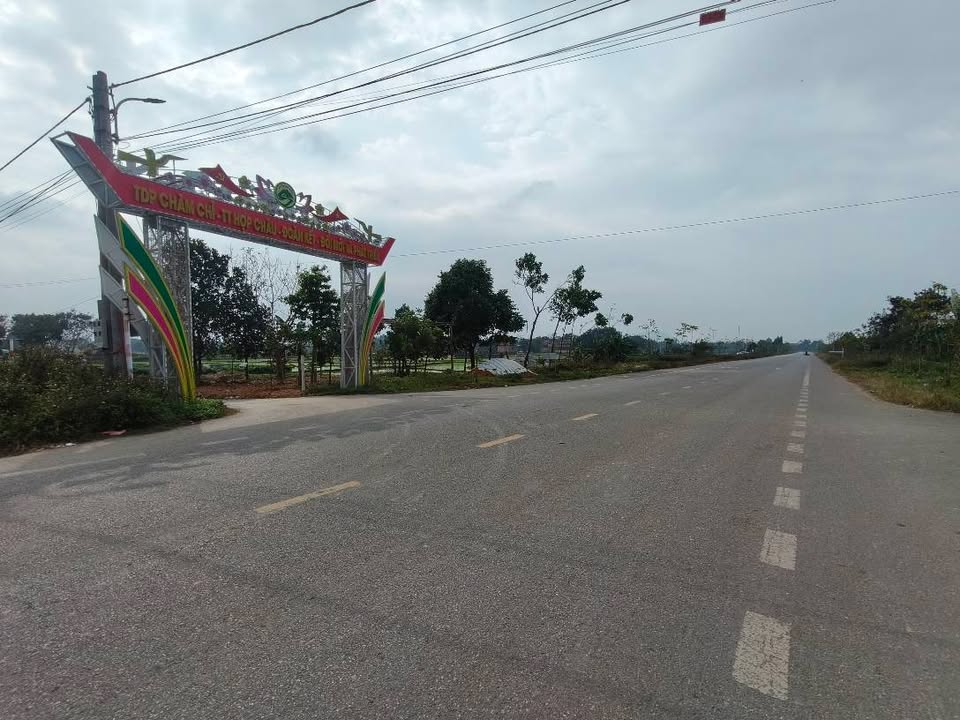 Đất thổ cư 100m² tại Hợp Châu, Tam Đảo - Giá chỉ 1 tỷ, đầu tư sinh lời!