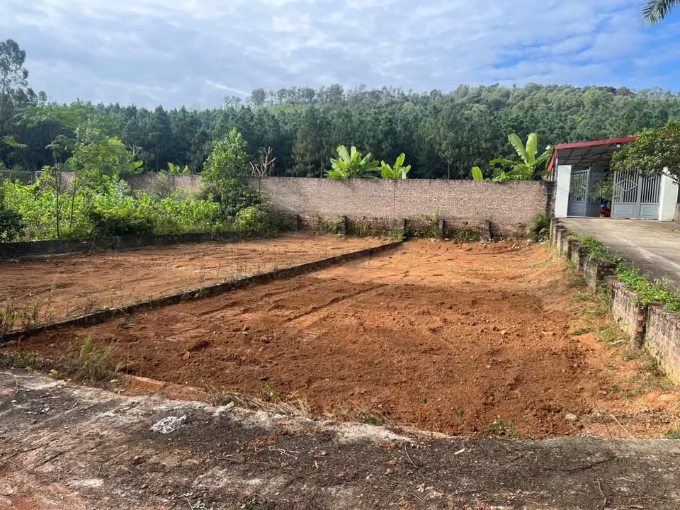 Đất đấu giá đô thị xã Ngọc Thanh 200m² - Sổ đỏ chính chủ, giá thỏa thuận!