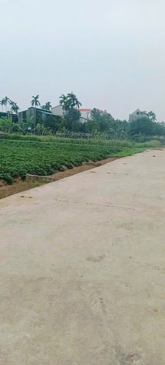 Đất nền Vườn Ươm Bạch Hạ, Phú Xuyên, Hà Nội 137m² giá chỉ 2.882 tỷ - Đầu tư sinh lời ngay!