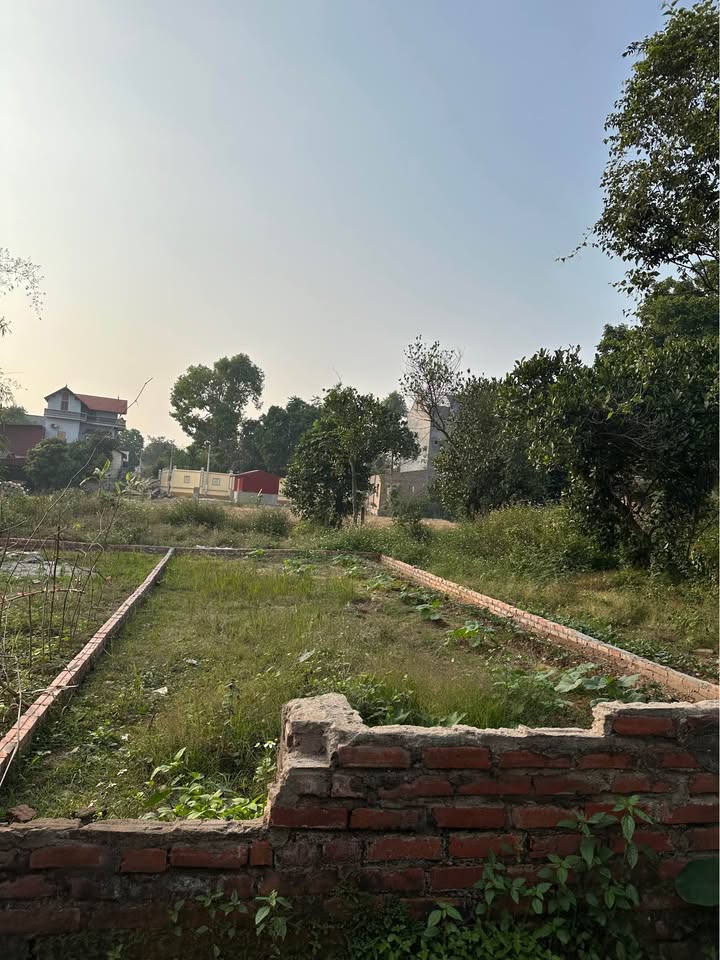 Đất nền Xuân Lâm Bắc Ninh 89m² giá 2.2 tỷ - Cơ hội tốt trước Tết!