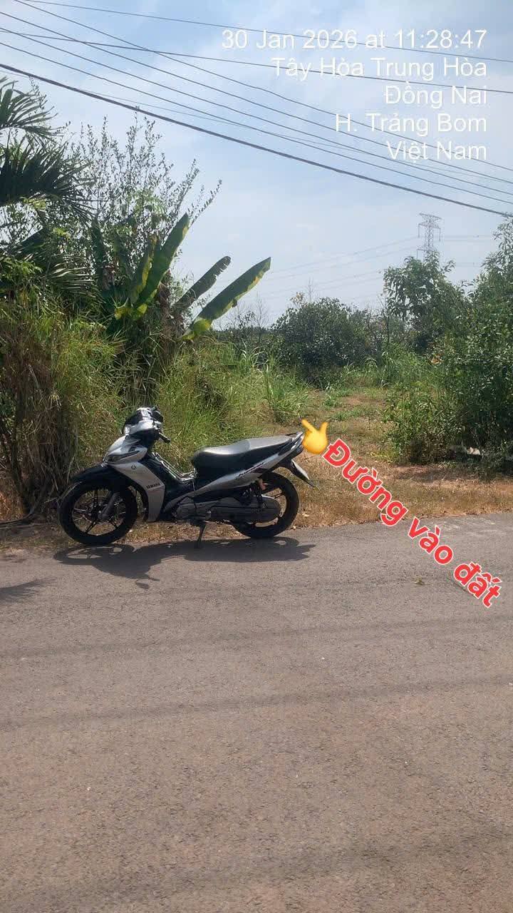 Đất Farm Sông Thao, Trảng Bom 2387m² giá chỉ 750 triệu - Cơ hội đầu tư tuyệt vời!