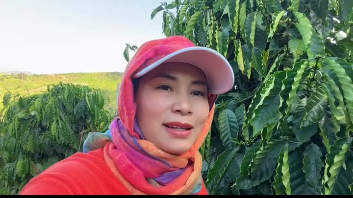 Farm đất đỏ Bazan 2,5ha tại Mang Yang, Gia Lai giá 4.5 tỷ - Đầu tư sinh lợi ngay!