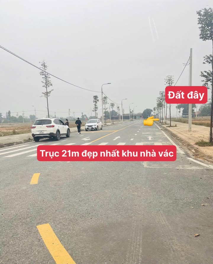 Đất thổ cư Thị trấn Lâm Thao 100m² - Vị trí đẹp, giao thông thuận lợi, giá thỏa thuận!