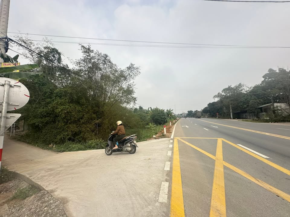 Đất nền Làng Móc, Xuân Lũng, Lâm Thao 100m² - Giá chỉ 750 triệu, sổ đỏ chính chủ!