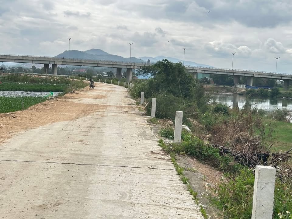 Đất vườn thôn Lục Lễ - Phước Hiệp 1200m² giá chỉ 400 triệu - Cơ hội đầu tư hiếm có!