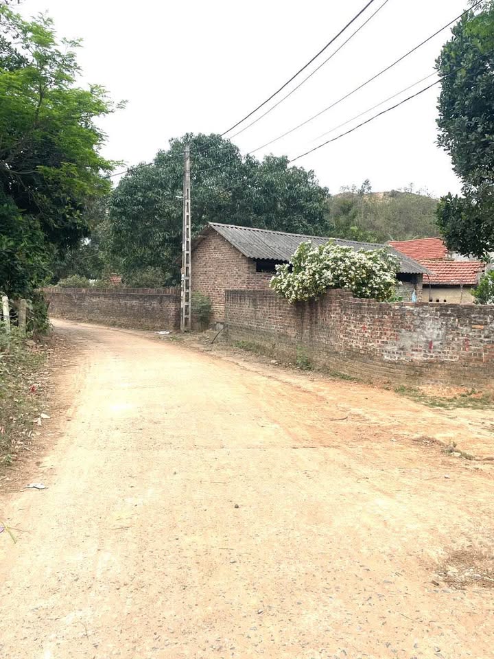 Đất nền Minh Quang, Tam Đảo 117m² giá chỉ 500 triệu - Cơ hội đầu tư hấp dẫn!