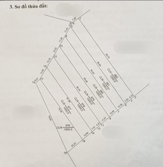 Đất nền Cây Thông Trong Phú Quốc 1000m² giá 2 tỷ - Sổ hồng riêng từng lô!