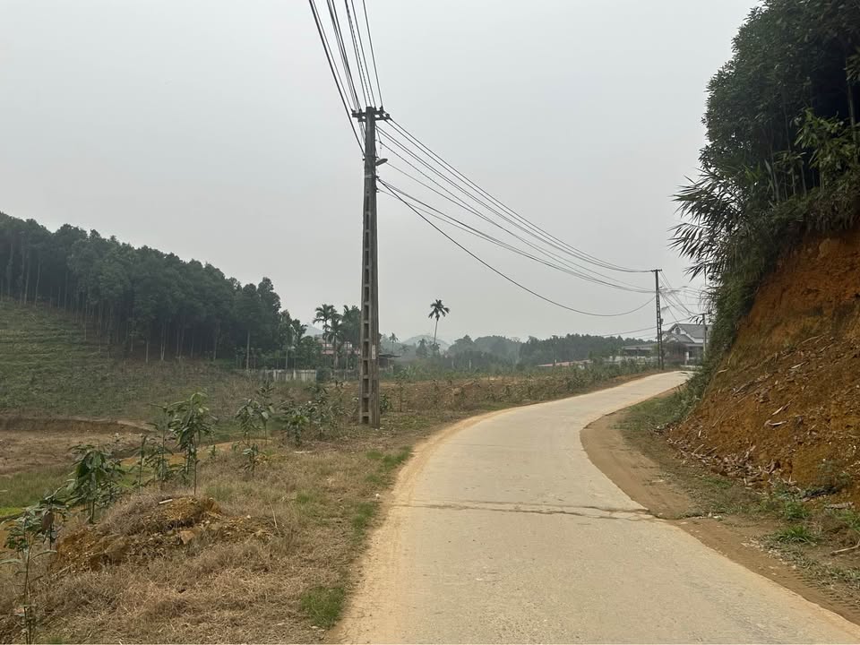 Trang trại Vĩnh Phúc 9117m² giá 3 tỷ - Đầu tư sinh lời ngay!