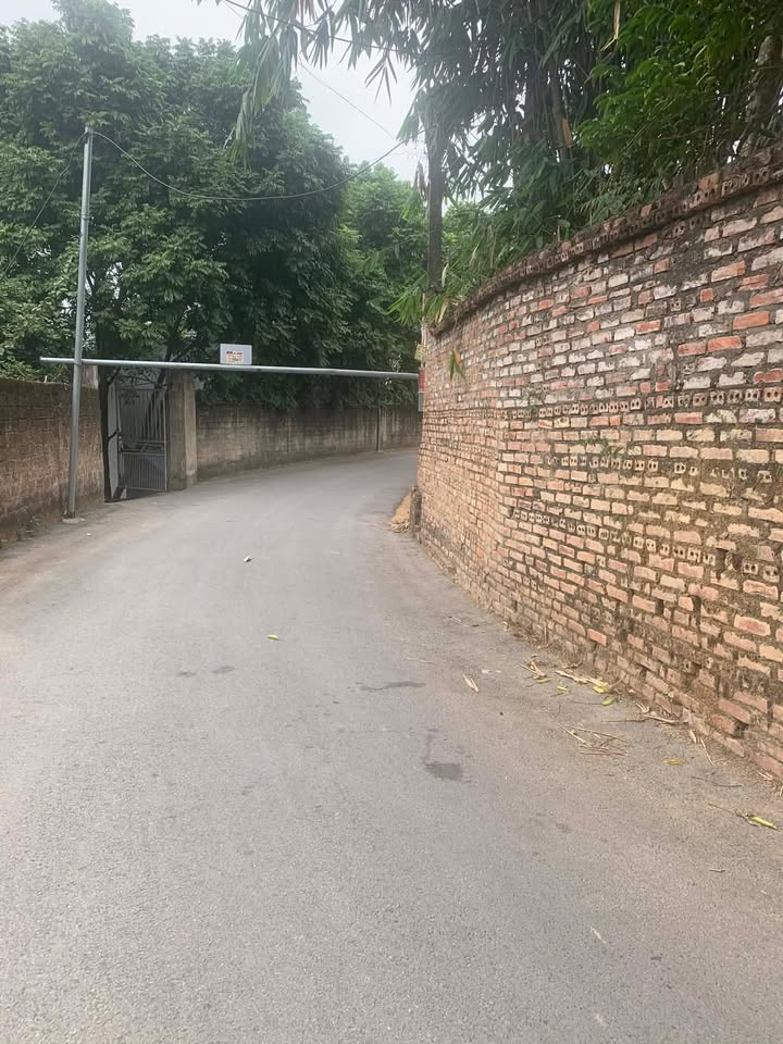 Đất nền khu Hương Trầm, Phường Tân Dân, Việt Trì 92m² - Cơ hội đầu tư hấp dẫn!