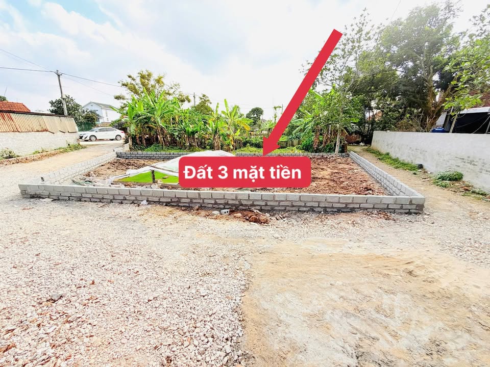 Đất thổ cư 95m² tại Phù Cừ, Hưng Yên giá 1.2 tỷ - Vị trí đắc địa, tiềm năng tăng giá cao!