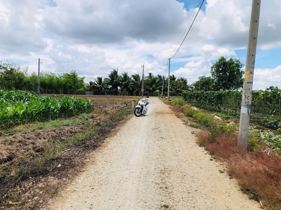 Đất nền xã Long Tân 1000m² giá 1.6 tỷ - Cơ hội đầu tư sinh lời!