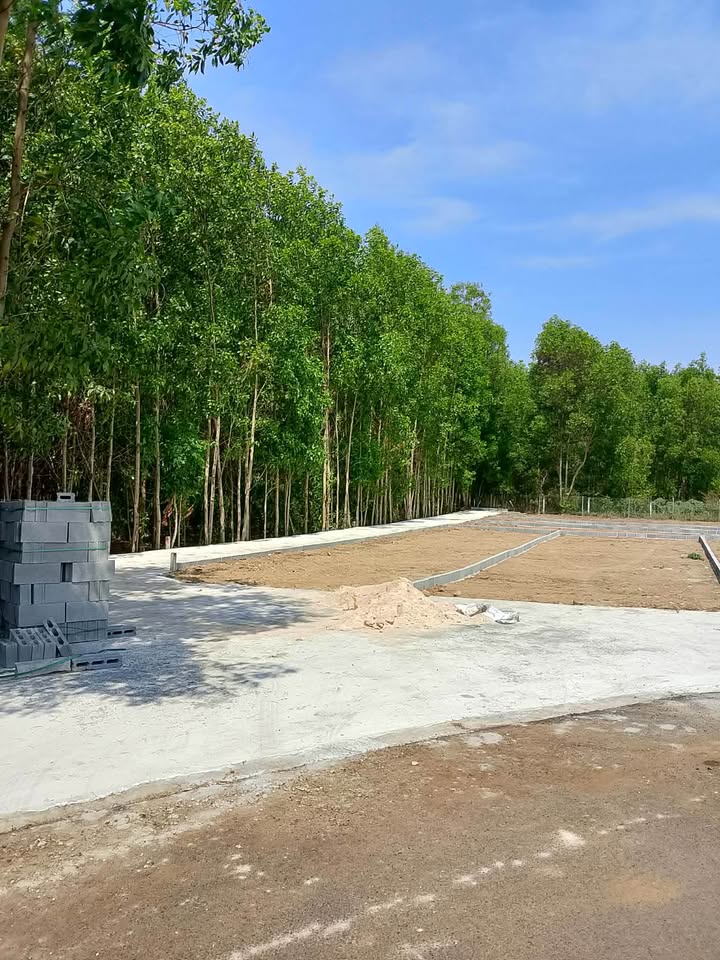 Đất thổ cư 98m² tại Thị trấn Đất Đỏ, Bà Rịa - Vũng Tàu - Giá chỉ 480 triệu!