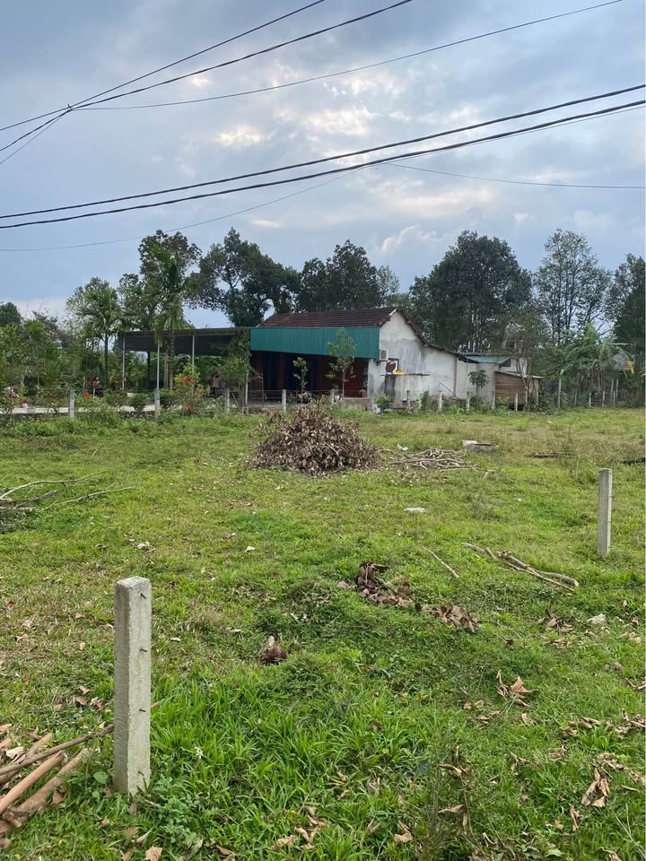 Đất nền xã Phú Thành, huyện Yên Thành, 175m² - vị trí thuận lợi cho đầu tư!