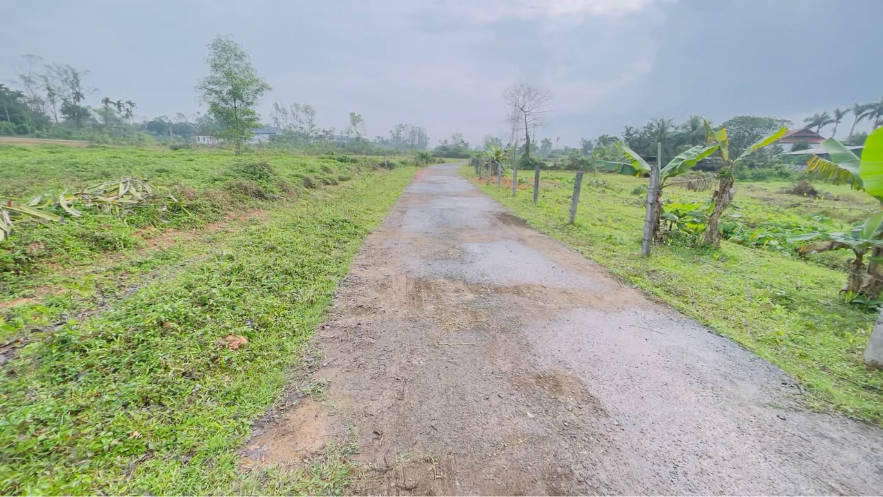 Đất nền xã Ngọc Sơn, huyện Quỳnh Lưu 240m² giá chỉ 300 triệu - Cơ hội đầu tư hiếm có!