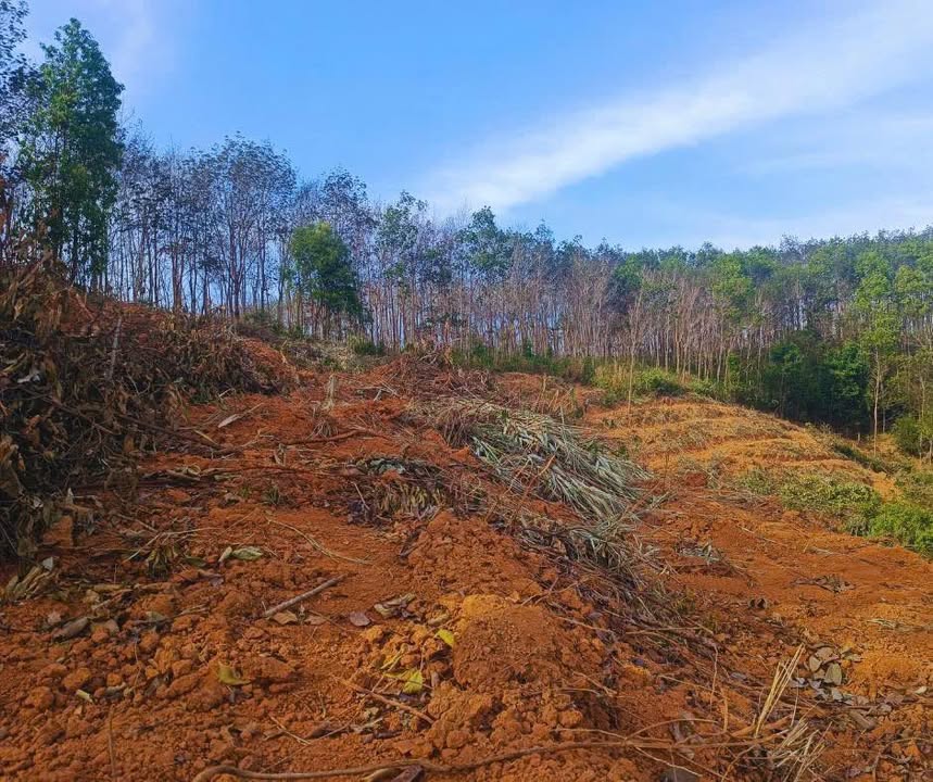 Đất thổ cư Đắk La 32.400m² giá 300 triệu - Sổ hồng chính chủ!