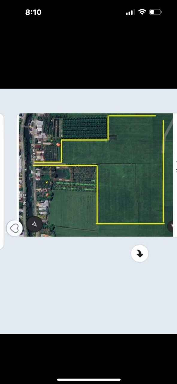 Farm 55.200m² mặt tiền đường Đan, Châu Thành, An Giang - Giá chỉ 12 tỷ!