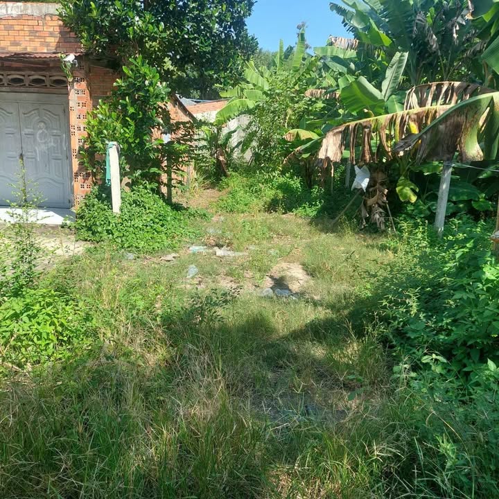 Đất thổ cư 110m² tại hẻm 33 Nguyễn Chí Thanh, Hòa Thành, giá 1.485 tỷ - Cơ hội đầu tư hấp dẫn!