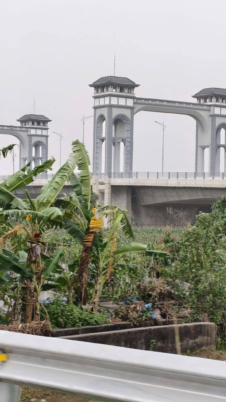 Đất mặt tiền kinh doanh TDP Đông Tân 99m² giá tốt - Cơ hội vàng cho nhà đầu tư!