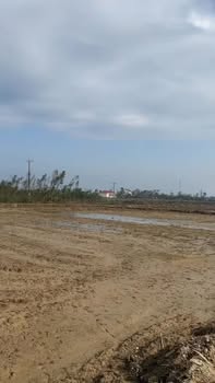 Đất nền Xã Xuân Hội, Huyện Nghi Xuân, 147m² - Giá thỏa thuận, vị trí đắc địa!