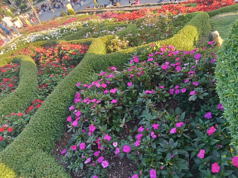 Đất mặt tiền 1598m² xã Hảo Đước, huyện Châu Thành, Tây Ninh - Giá chỉ 400 triệu!