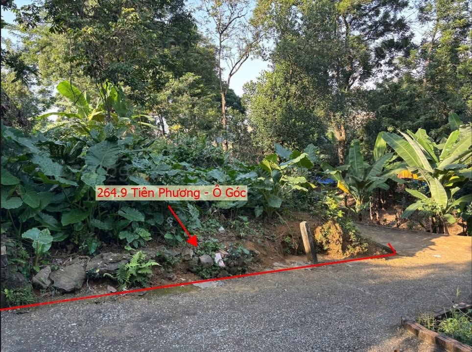 Đất nền 264,9m² Tiên Phương, Chương Mỹ - Lô góc 3 mặt tiền, giá tốt!