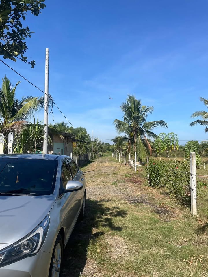 Vườn trái cây 500m² tại Xã Trị An, Đồng Nai chỉ 499 triệu - Sổ hồng riêng!