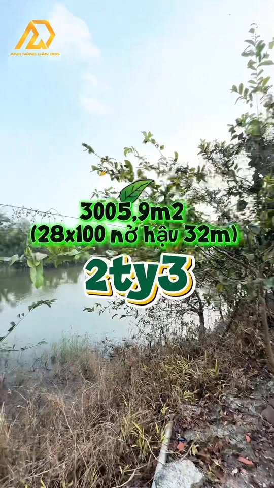 Farm Sầu Riêng Long Phước, Vĩnh Long 3006m² giá 2.3 tỷ - Tặng nhà mái thái!