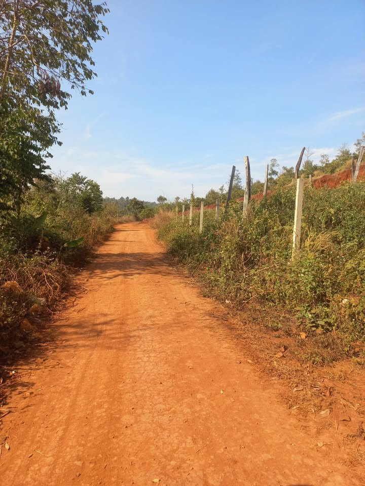 Đất nền tại xã Đức Minh, Đắk Mil 360m² giá 1.75 tỷ - Đầu tư sinh lời hấp dẫn!