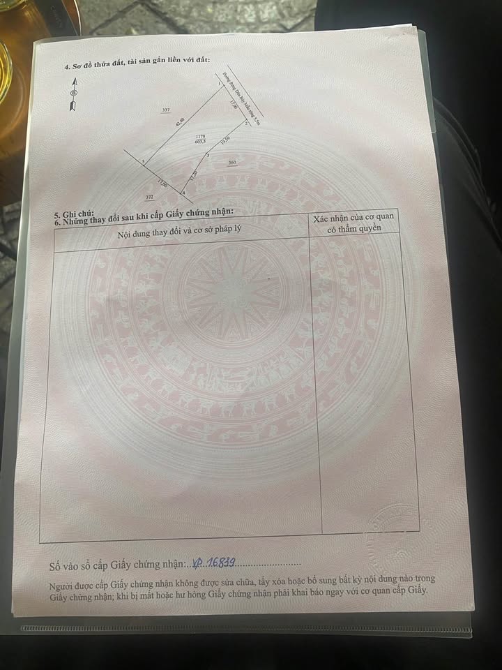 Đất nền 600m² mặt tiền đường Rừng Dừa Bảy Mẫu, giá chỉ từ 20 triệu/m² - Tiềm năng sinh lời cao!