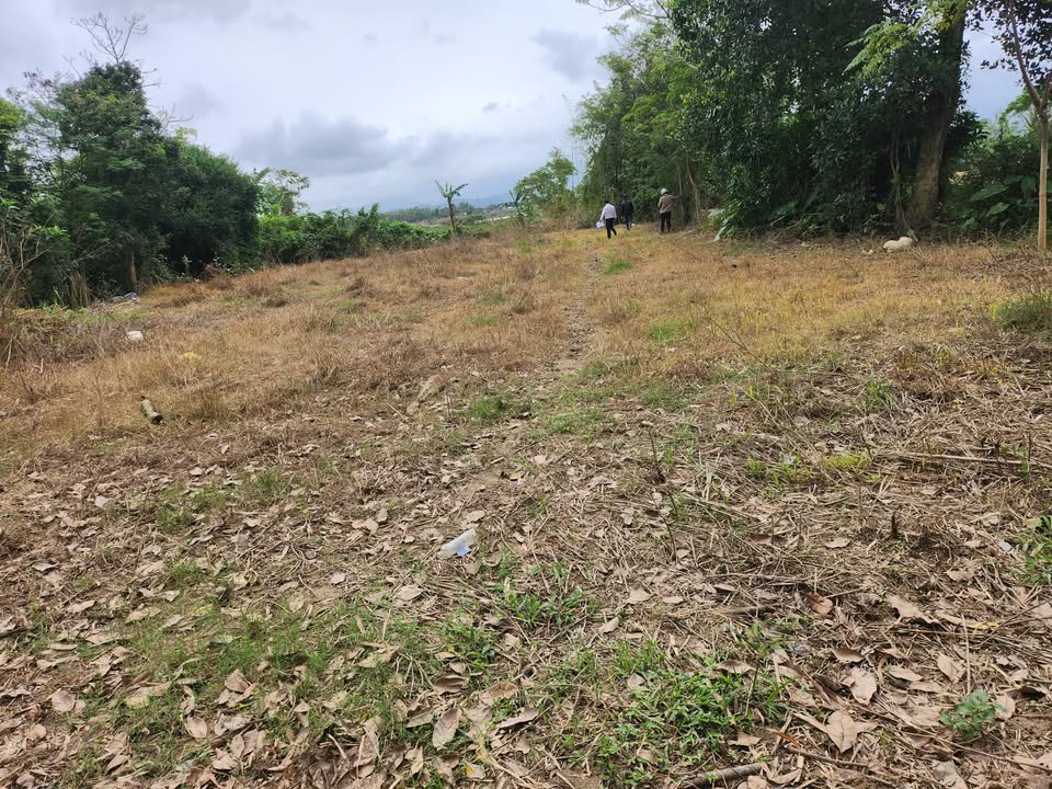 Đất nền Điện Thọ, Điện Bàn 150m² giá chỉ 400 triệu - Cơ hội đầu tư tuyệt vời!