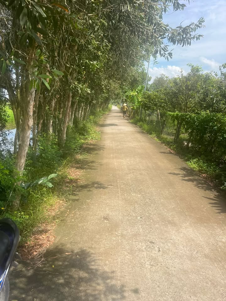 Đất nông nghiệp 3136m² xã Nhị Thành, huyện Thủ Thừa - Giá chỉ 1.116 tỷ VND