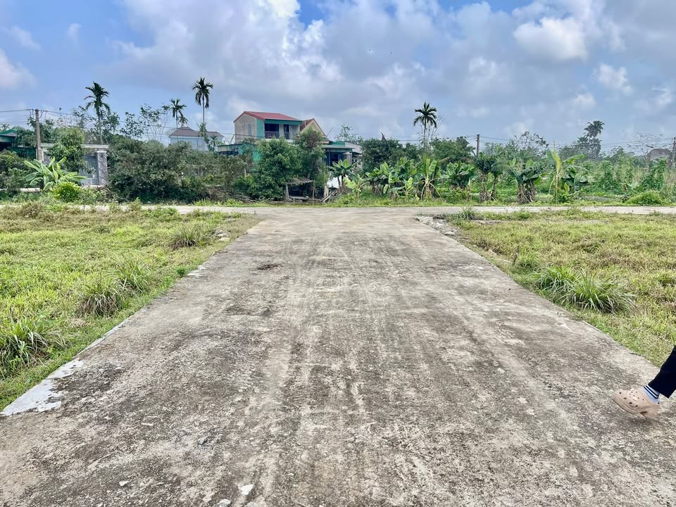 Đất thổ cư Tân Lâm Hương - 126m² giá 800 triệu - Cơ hội vàng cho đầu tư!