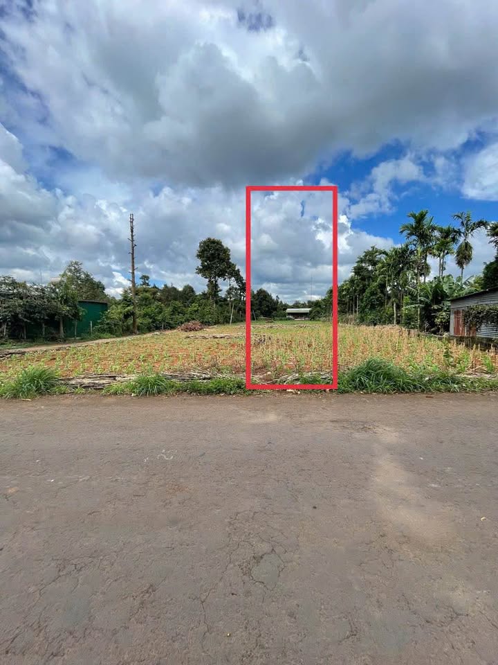 Bán gấp FrontHouse đường nhựa Cư Suê 135m² chỉ 799 triệu - Lợi nhuận đầu tư cao!